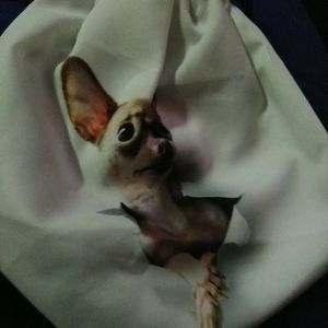 Free with any bundle or it's 5 by it's selfLittle Chihuahua string bag